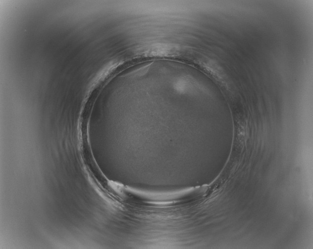 X0000062650678200512211232
