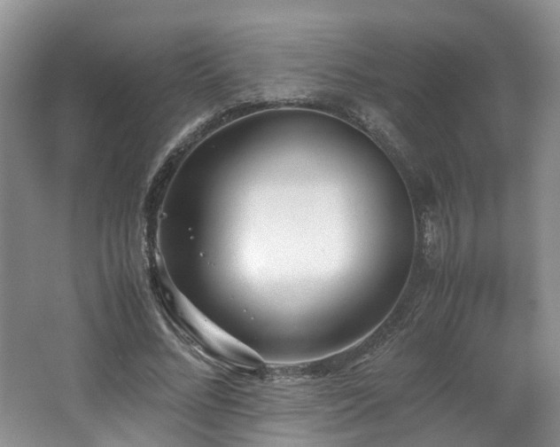 X0000062650684200512211232