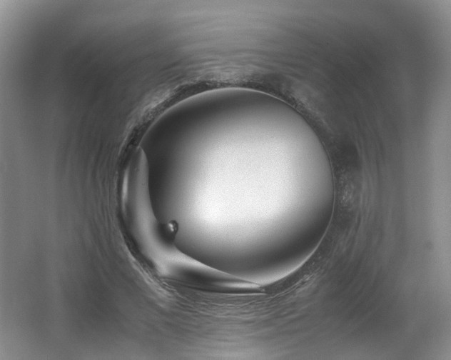 X0000062650685200512211232