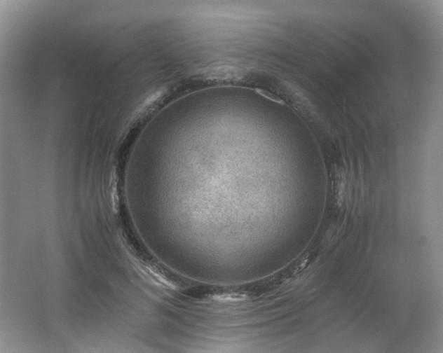 X0000062650692200512211232