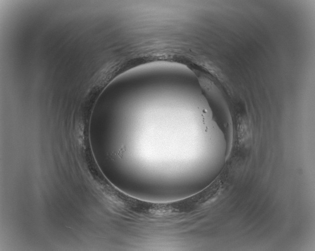 X0000062650693200512211231