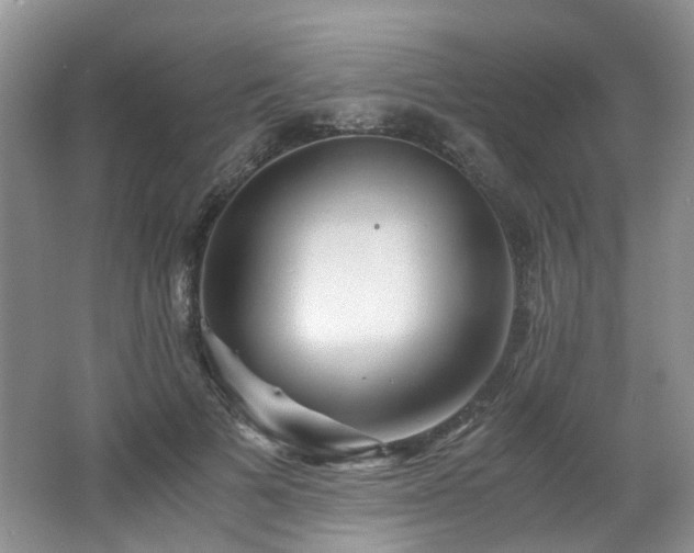 X0000062650697200512211231
