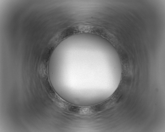 X0000062650705200512211231