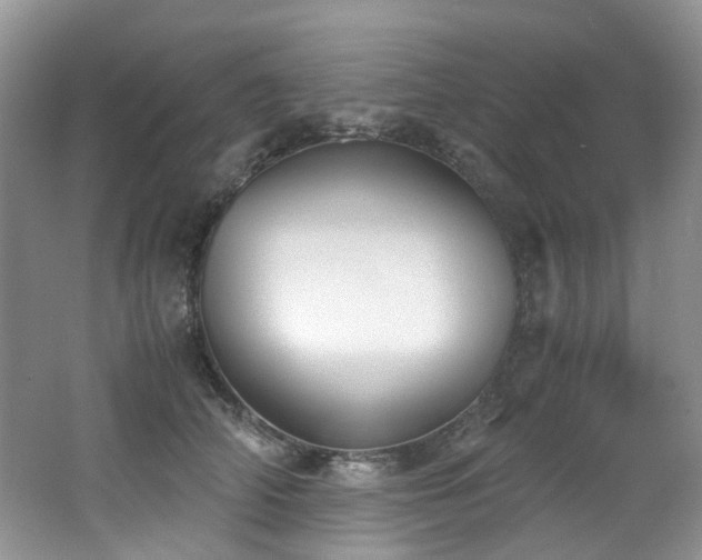 X0000062650706200512211231