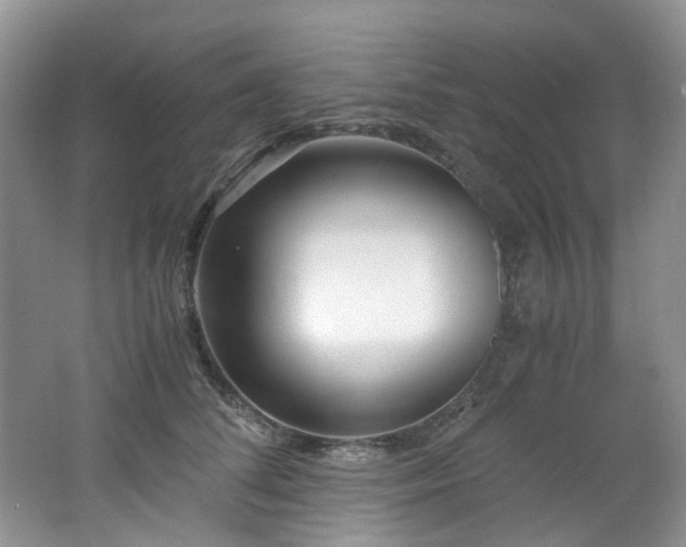 X0000062650708200512211231