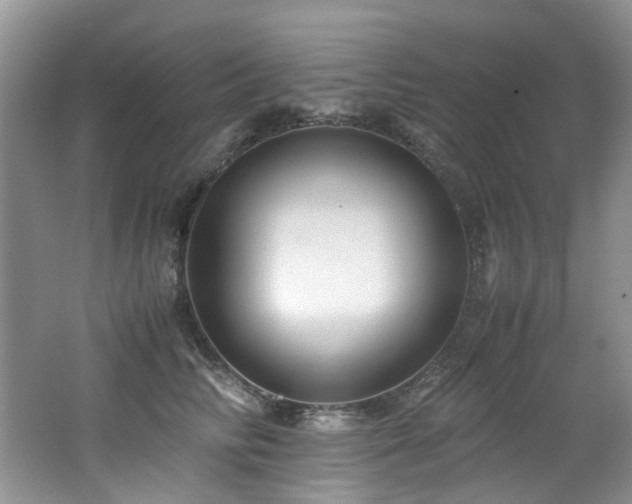 X0000062650710200512211231