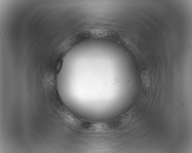 X0000062650713200512211231