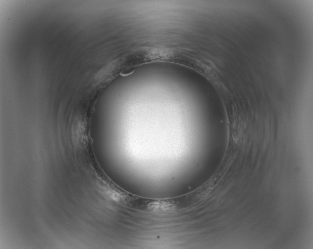 X0000062650714200512211231