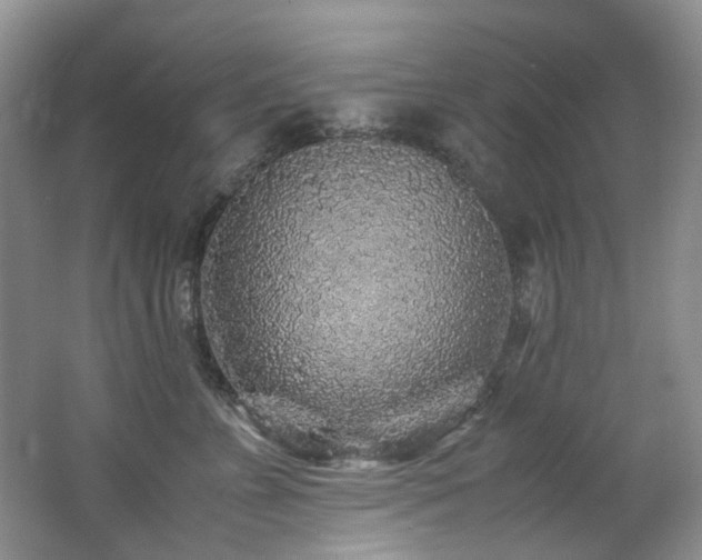 X0000062650715200512211231