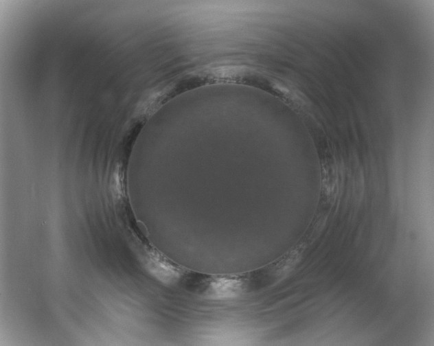 X0000062650718200512211231