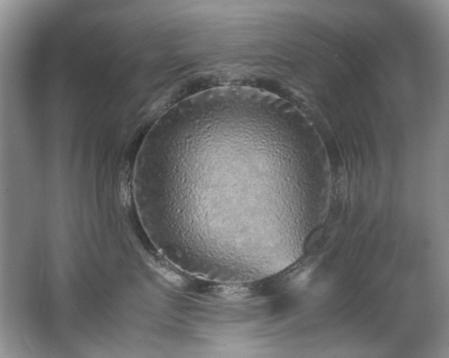 X0000062650719200512211231