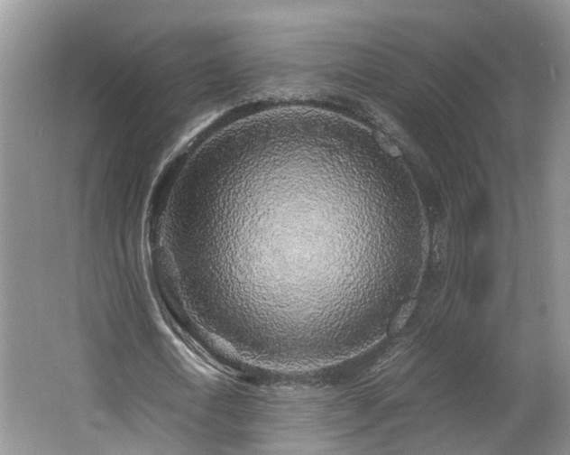 X0000062650722200512211230
