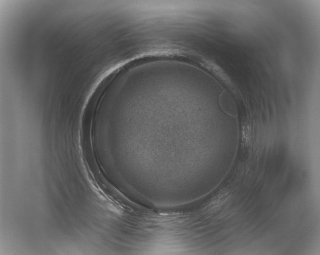 X0000062650724200512211230