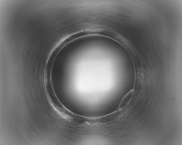 X0000062650726200512211230