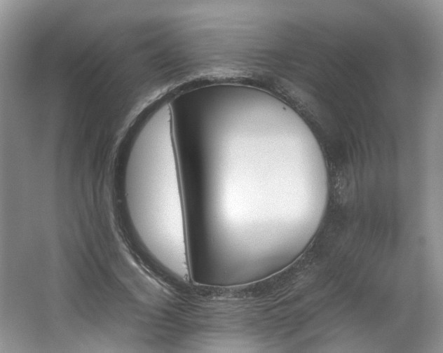 X0000062650732200512211230