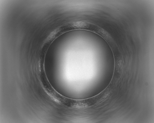 X0000062650734200512211230