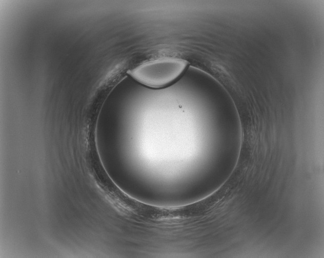X0000062650735200512211230