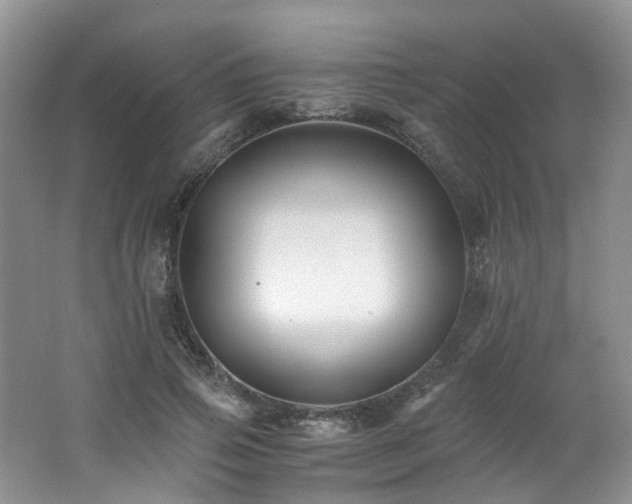 X0000062650741200512211231