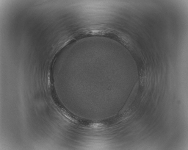 X0000062650748200512211231