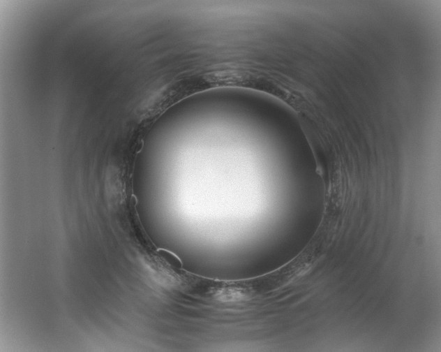 X0000062650751200512211231