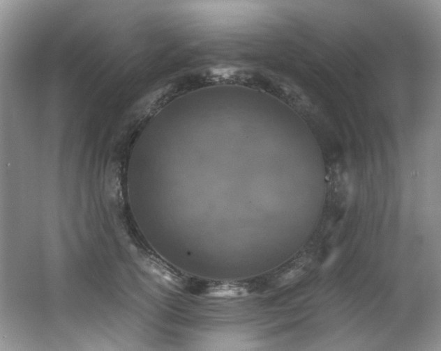 X0000062650754200512211231