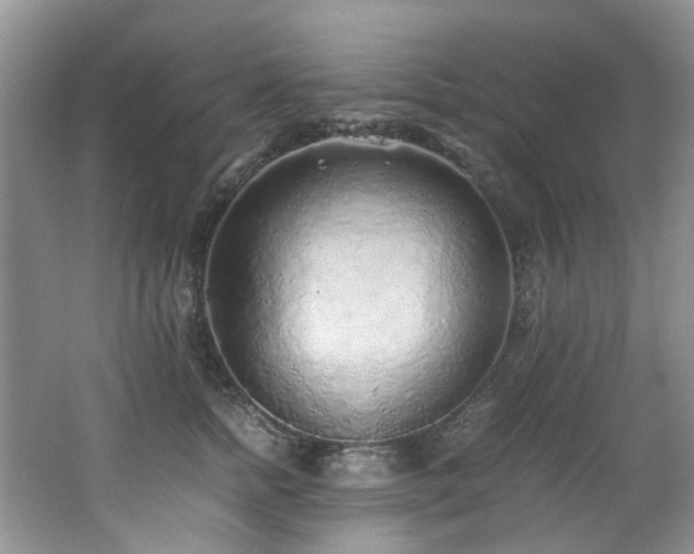 X0000062650758200512211231