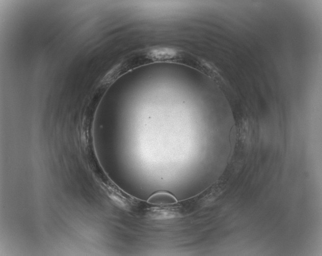 X0000062650763200512211231