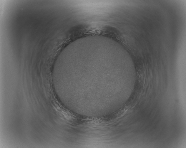 X0000062650769200512211230