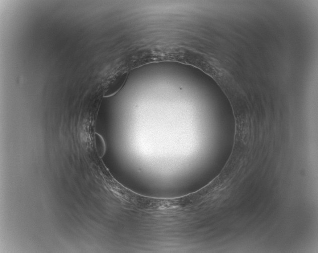 X0000062650770200512211230