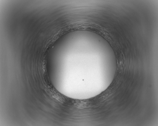 X0000062650772200512211230