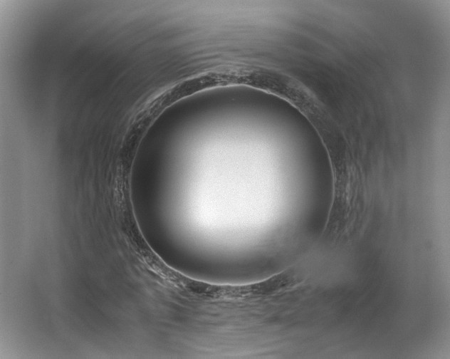 X0000062650773200512211230