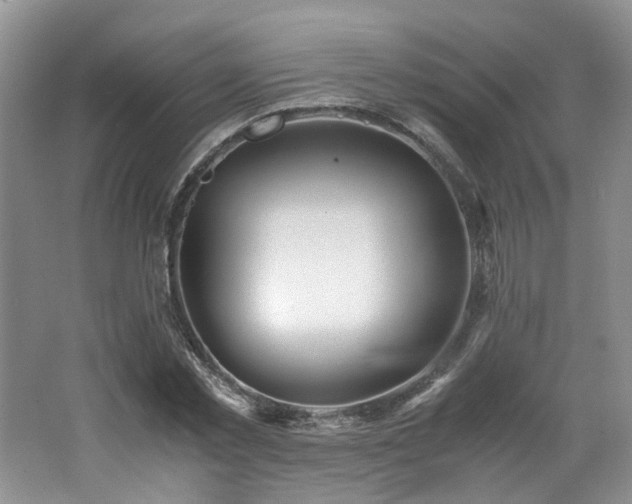 X0000062650781200512211230