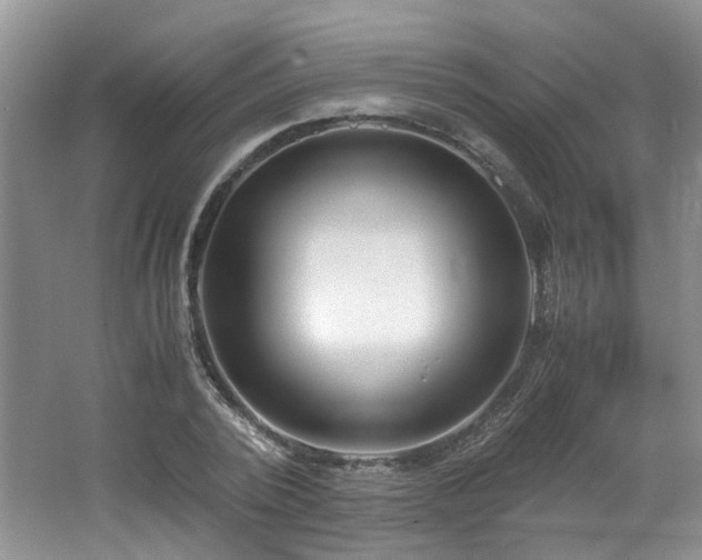 X0000062650784200512211230