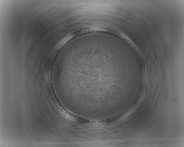 X0000062650785200512211230
