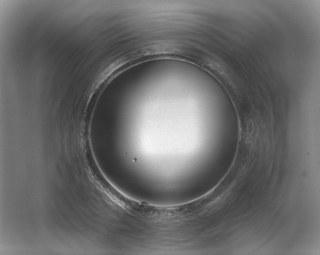 X0000062650786200512211230