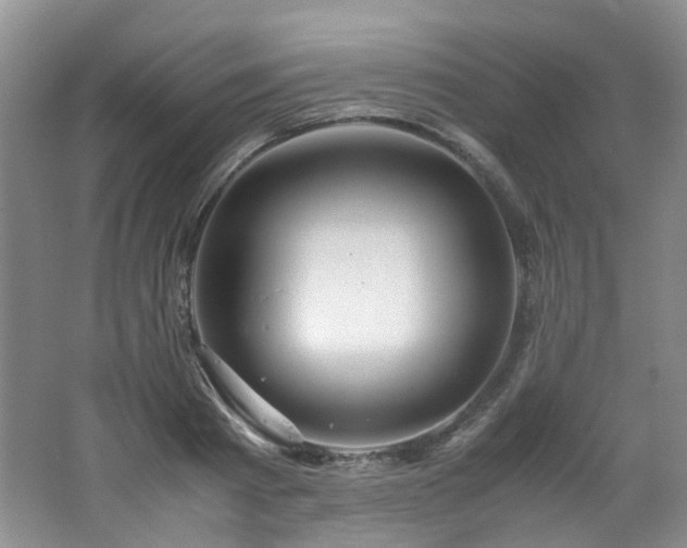 X0000062650793200512211230