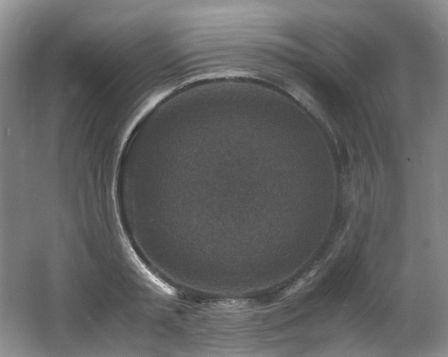 X0000062650797200512211230