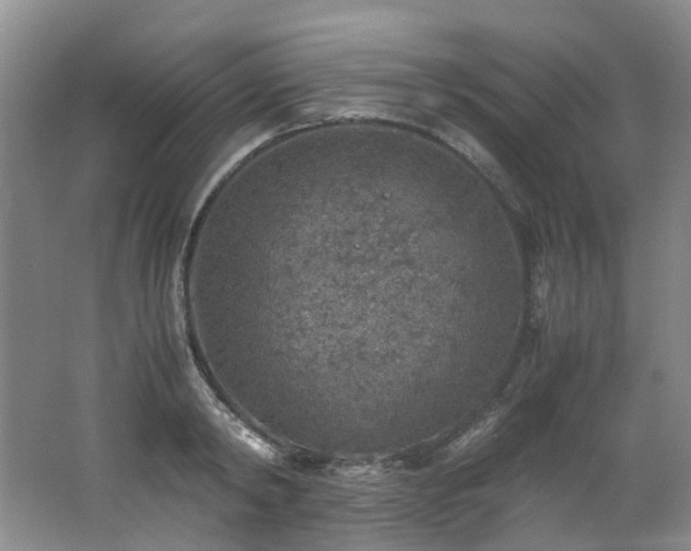 X0000062650798200512211230