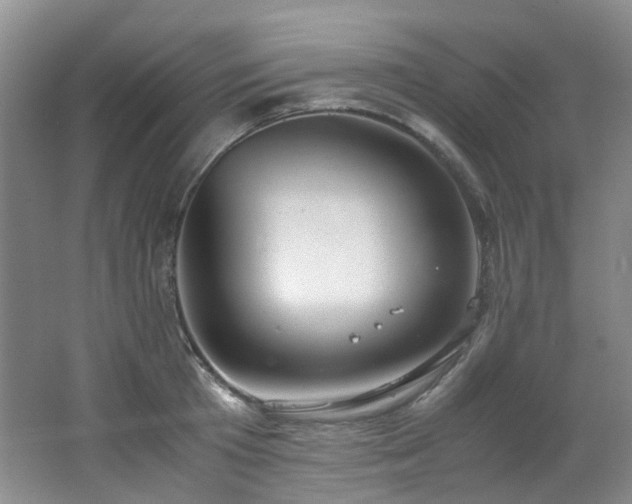 X0000062650801200512211230