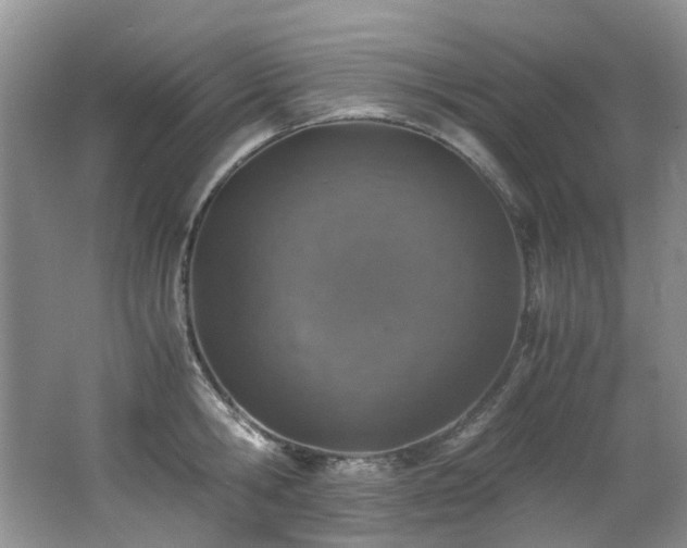 X0000062650806200512211230