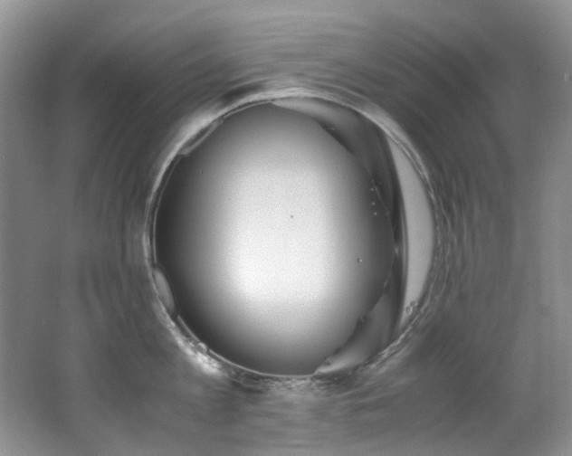 X0000062650813200512211229