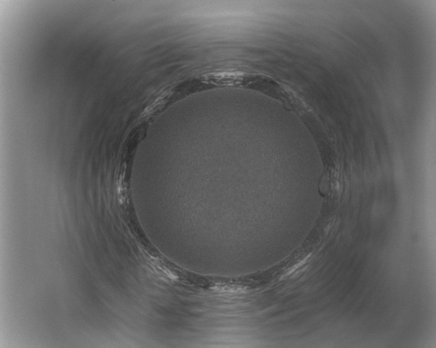 X0000062650818200512211229