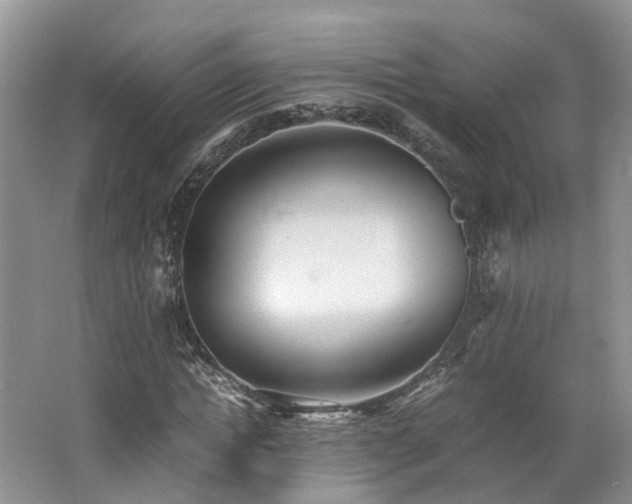 X0000062650822200512211229