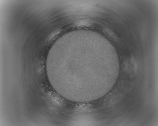 X0000062650824200512211229