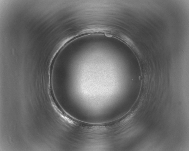 X0000062650844200512211229