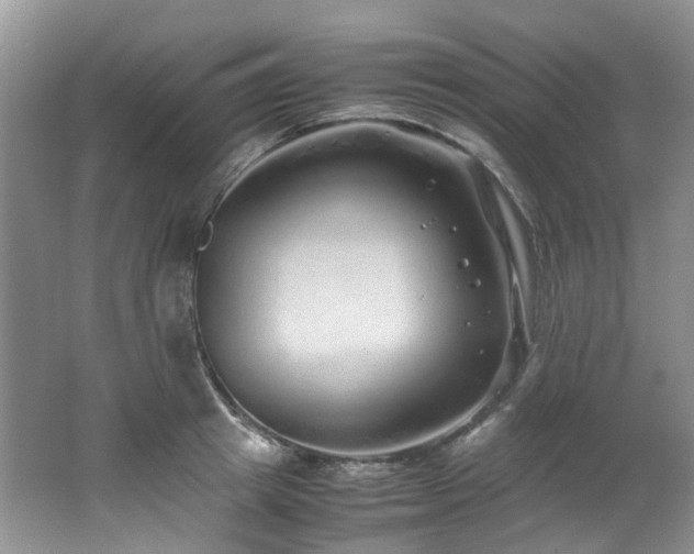 X0000062650849200512211229