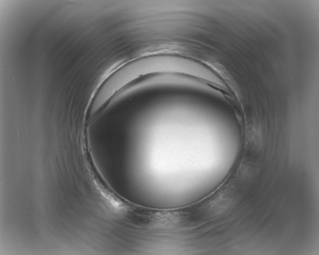 X0000062650850200512211229