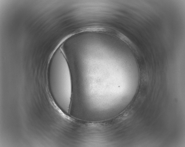 X0000062650852200512211229