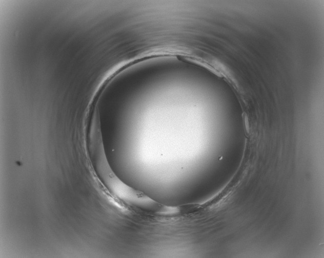 X0000062650854200512211229
