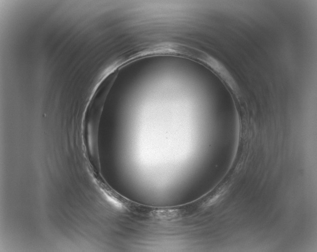 X0000062650858200512211229